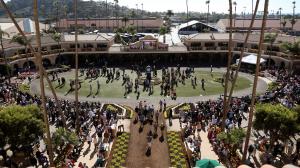 Future Stars Friday, Breeders' Cup Juvenile Turf Sprint, Breeders' Cup Juvenile, Breeders' Cup Juvenile Fillies, Breeders' Cup Juvenile Fillies Turf, Breeders' Cup Juvenile Turf, Del Mar, America's Best Racing, horse racing, ABR